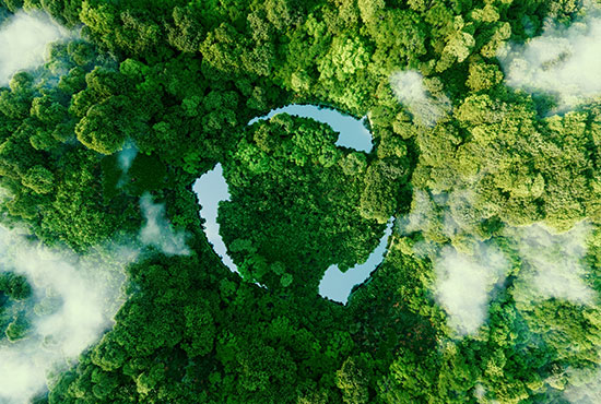উজিয়াং গাওরুই গার্ডেন মেটালওয়ার্ক কো.,লি